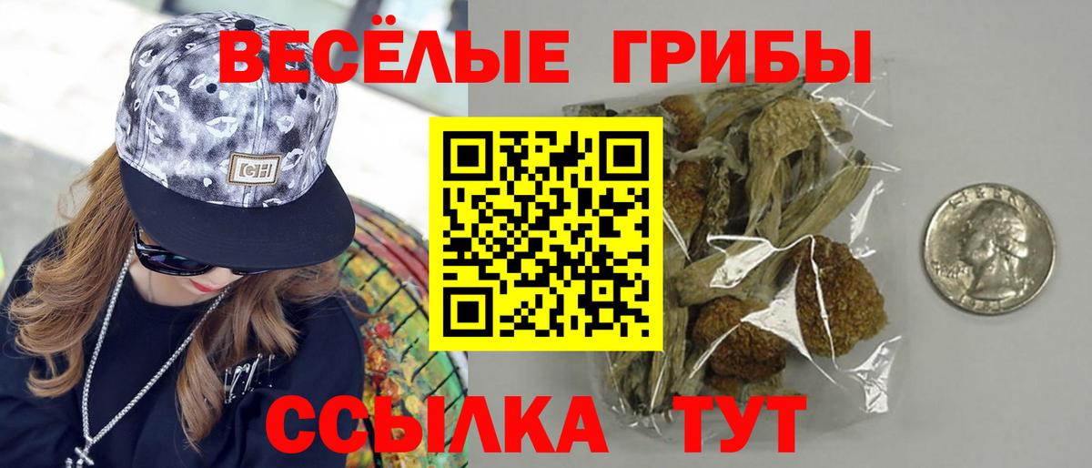 Галлюциногенные грибы мухоморы  Вход с VPN  Кимовск  Псилоцибиновые грибы Cubensis 